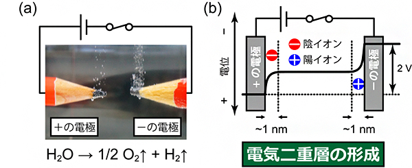 水の電気分解と固体/液体界面の電気二重層の模式図の画像