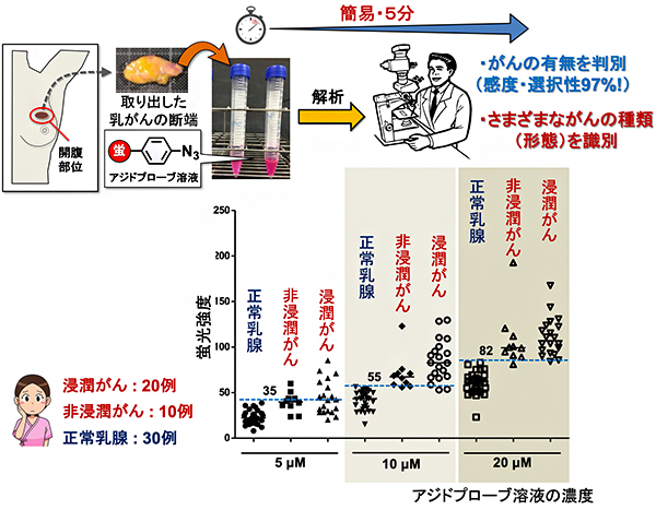 アジドプローブを用いた乳がん患者から摘出したがん細胞の判別結果の図