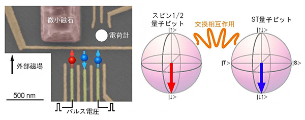 スピン1/2量子ビット-ST量子ビット複合系の図