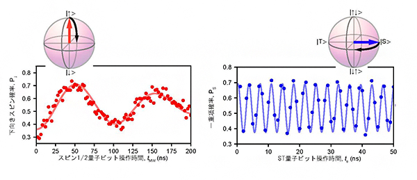 スピン1/2量子ビットおよびST量子ビットの独立な動作確認の図