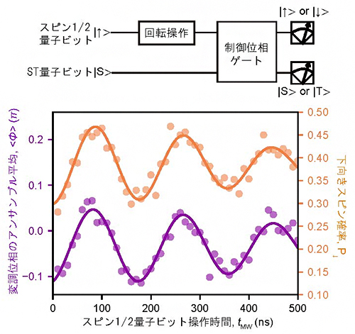 スピン1/2量子ビット-ST量子ビット間での制御位相ゲートの図