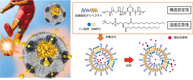 加熱により内包分子を脂質ゲートから放出するナノカプセルの図