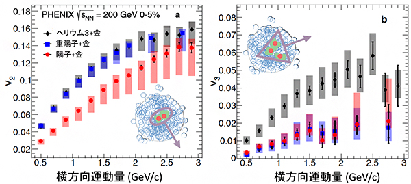 PHENIX実験で観測されたハドロンの楕円フロー強度（左）と三角フロー強度（右）の図