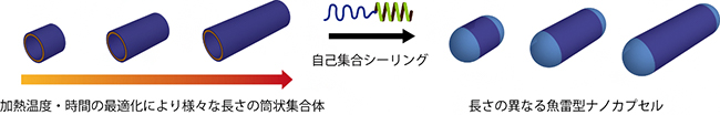 長さの異なる魚雷型ナノカプセルの作製の図