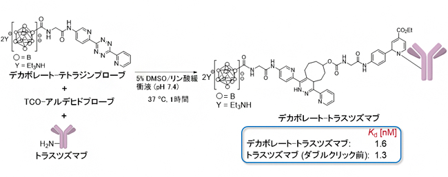 ダブルクリック標識法によるデカボレート-トラスツズマブの合成の図