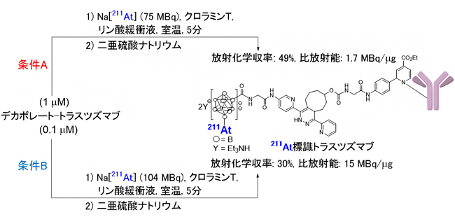 デカボレート-トラスツズマブの211At標識の図