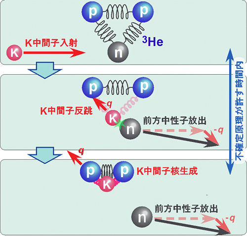 K－中間子と二つの陽子からなる原子核の発見