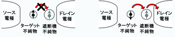 スピン閉鎖によるスピン状態の読み出しの図