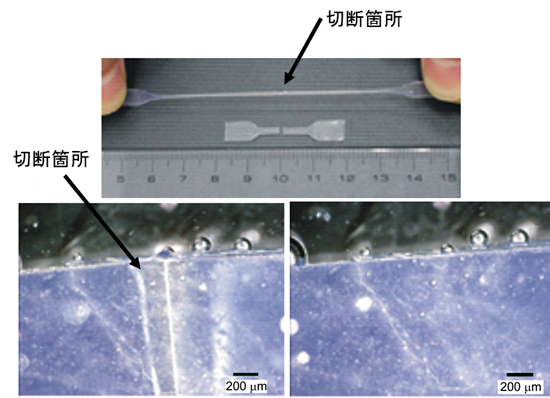 新しい機能性ポリマーの大気中および水中における自己修復の図