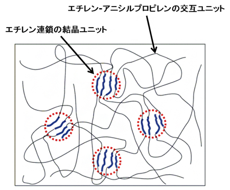 新しい機能性ポリマーのミクロ相分離構造の模式図の画像