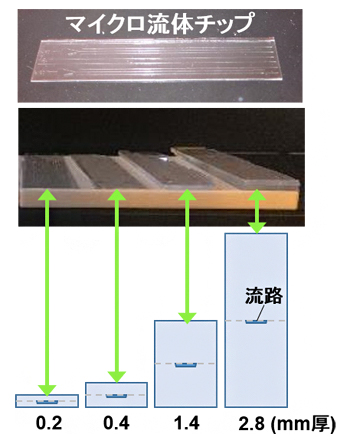 本研究で作製した厚さの異なるガラス製マイクロ流体チップの図