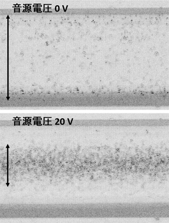 大腸菌に対して音響絞り込みを行ったときの写真の図