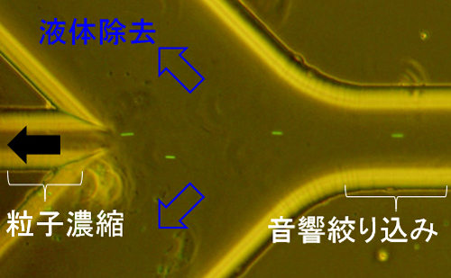 微粒子濃縮の様子の図