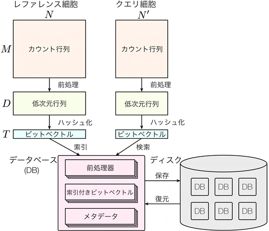 CellFishing.jlの模式図の画像