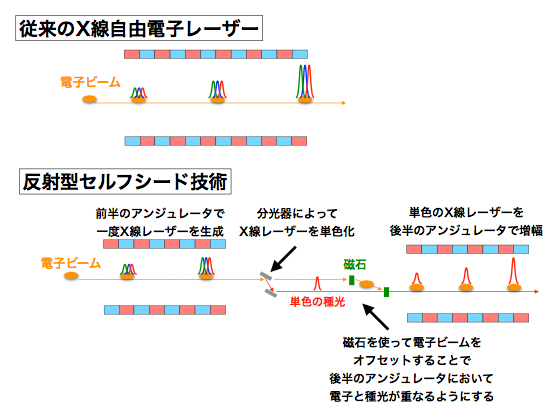 従来のX線自由電子レーザー（XFEL）の発振方法と反射型セルフシード技術の概略図の画像