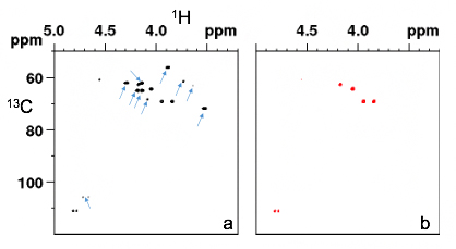 天然ゴムシートの溶液NMR のC-H相関2次元NMRスペクトルの図