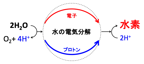 水電解反応による水素製造の概念図の画像