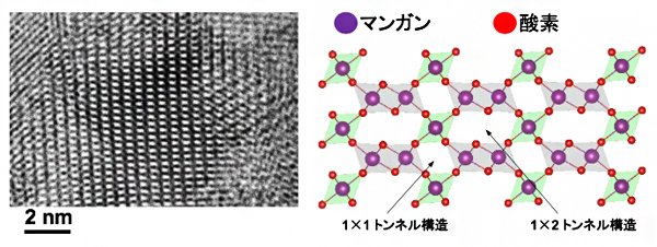 電極上に合成されたガンマ型酸化マンガンの電子顕微鏡写真とその模式的な原子構造の図