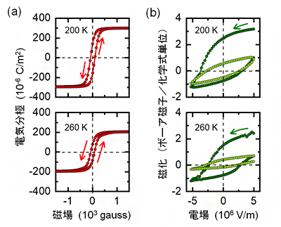 磁場印加による電気分極の変化(a)と電場印加による磁化の変化(b)の図