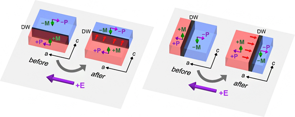 電場による磁化制御の模式図の画像