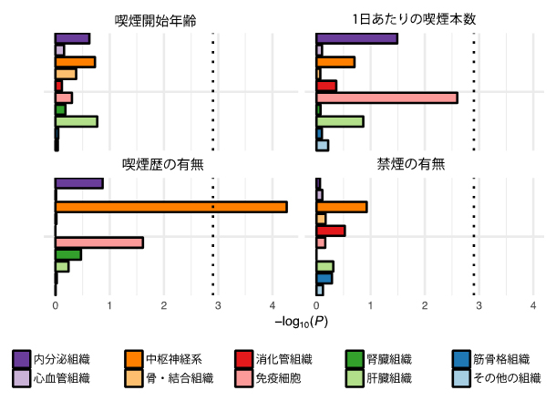 喫煙習慣GWAS結果における組織特異性の図