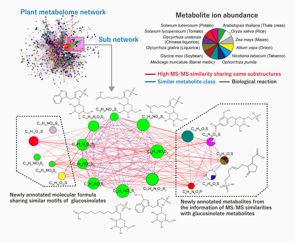 figure showing the formulae and structures for newly annotated metabolites