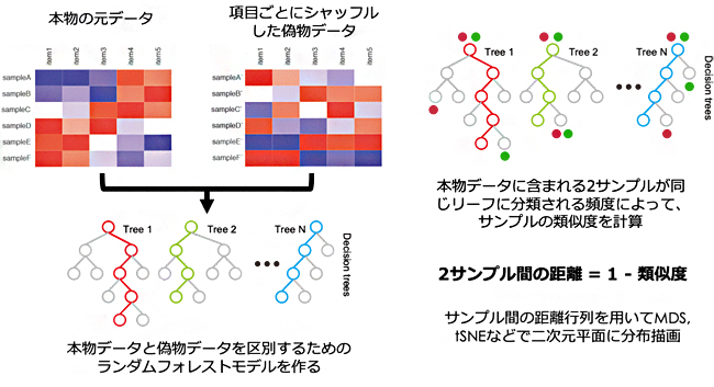 教師なしランダムフォレスト法によるサンプル間距離の計算の図