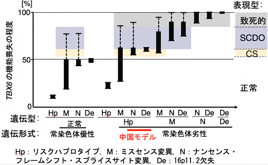 TBX6遺伝子の遺伝型と表現型の関係の図