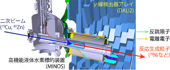 高機能液体水素標的MINOSとγ線検出器アレイDALI2の図