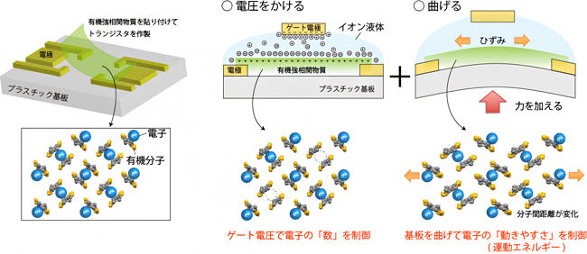 本研究で用いた有機トランジスタデバイスの模式図の画像