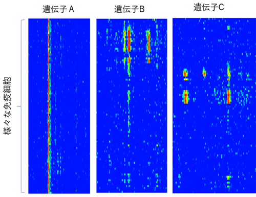 免疫細胞により異なるオープンクロマチン領域の図