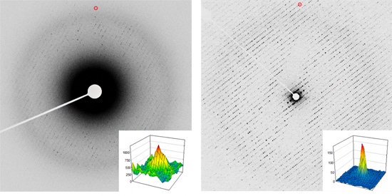 カタラーゼの3次元の微小結晶からの電子線回折パターンの図