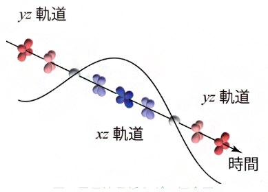 電子液晶揺らぎの概念図の画像