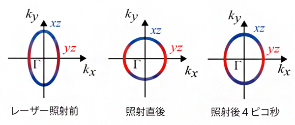 フェムト秒レーザー照射に伴う電子液晶の形状変化の図