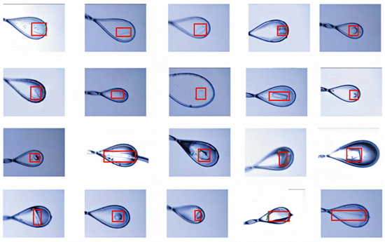 DeepCenteringによる結晶検出の図