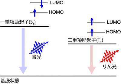 蛍光とりん光の説明図の画像