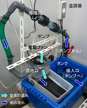 バイオフィルム形成実験用バイオリアクター