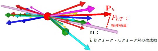 宇宙のポップコーン～初期宇宙におけるクォーク・グルーオンからの粒子生成～