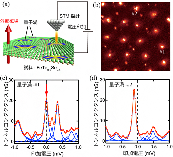 STM/STSを用いたトンネルスペクトル測定とその結果の図