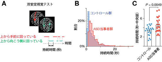 視覚の非柔軟性に関する実験と結果の図