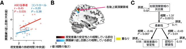 感覚症状と認知機能症状の関連とその神経基盤の図