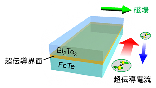 界面における超伝導と磁場下での超伝導電流の整流効果のイメージの図