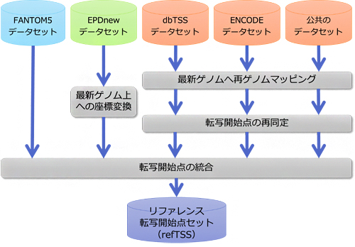 転写開始点の標準セット構築の流れの図