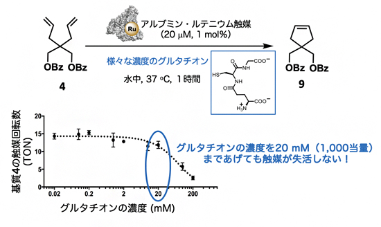 グルタチオン存在下でのアルブミン・ルテニウム触媒の閉環メタセシス反応の図