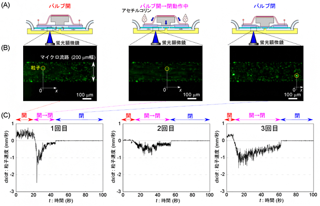 化学刺激によるバルブ動作の実証実験の図