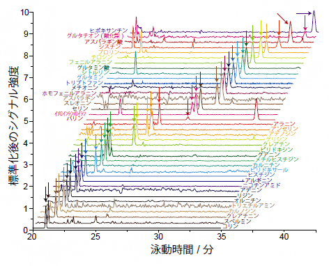 1個のHeLa細胞から検出された40種類の代謝物の図