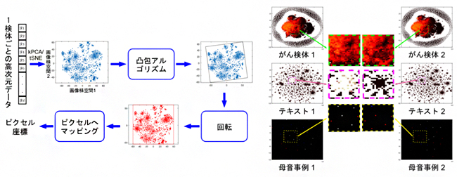 ゲノミクスなどの非画像データを画像データに変換する方法（左）と実例（右）の図