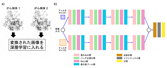 ディープインサイト法で変換したサンプルの像と使用した深層学習のアーキテクチャの図