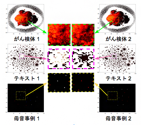 図1の方法で変換したサンプルの画像の実例の図