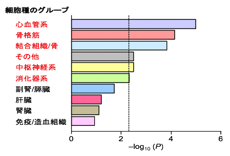 Heritability enrichment解析の結果の図